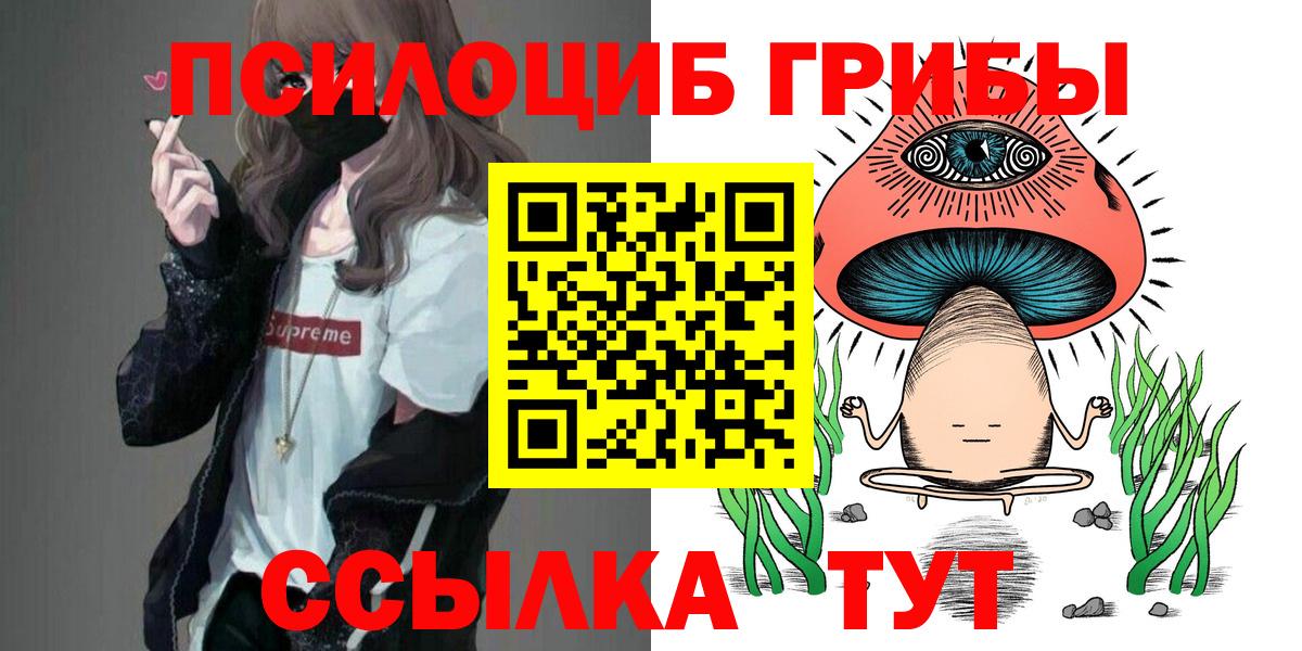 Псилоцибиновые грибы мухоморы  Вход с VPN  Кандалакша 
